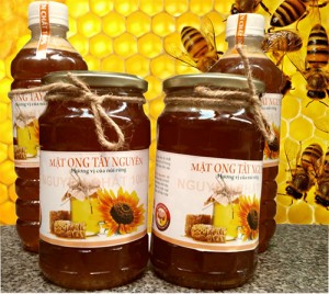 mat-ong-nguyen-chat-tay-nguyen-1-lit