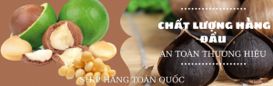 banner1