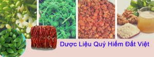 banner2-duoc-lieu