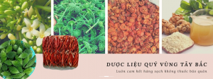 banner2