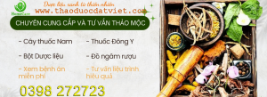banner3-benh-an