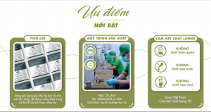 anh-chup-man-hinh-2025-06-12-135055